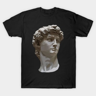 David of Michelangelo Colorblock Head T-Shirt